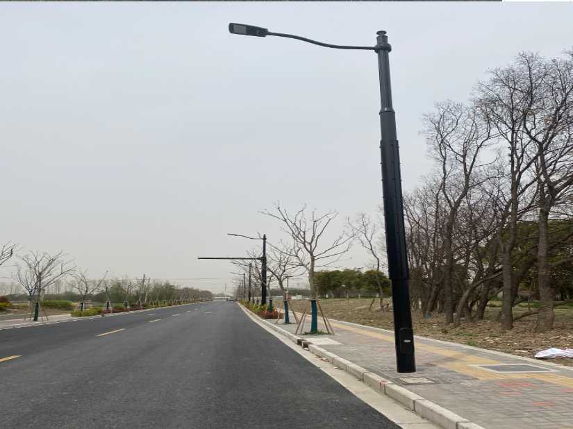 新建区上海综合杆 太阳能路灯工程